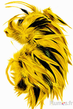Hahnenkreuz baBger - 10-15 cm - gelb